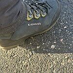 Image of Review by juan g. on  3 Sep 2024 number 1