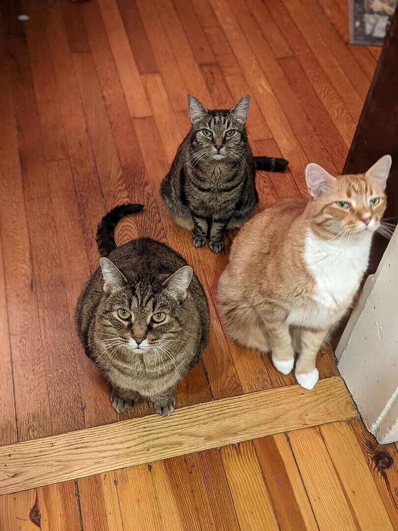 Catalyst Pet customer photo shared by Barbara N.
