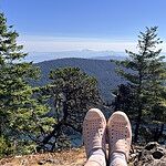 Image of Review by Paula K. on 12 Sep 2024 number 1
