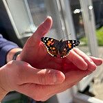 Image of Review by Shaunie P. on 18 Sep 2024 number 1