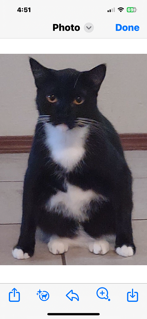 Catalyst Pet customer photo shared by Lisa R.