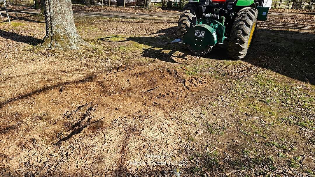 DIY Stump Grinding photo 1