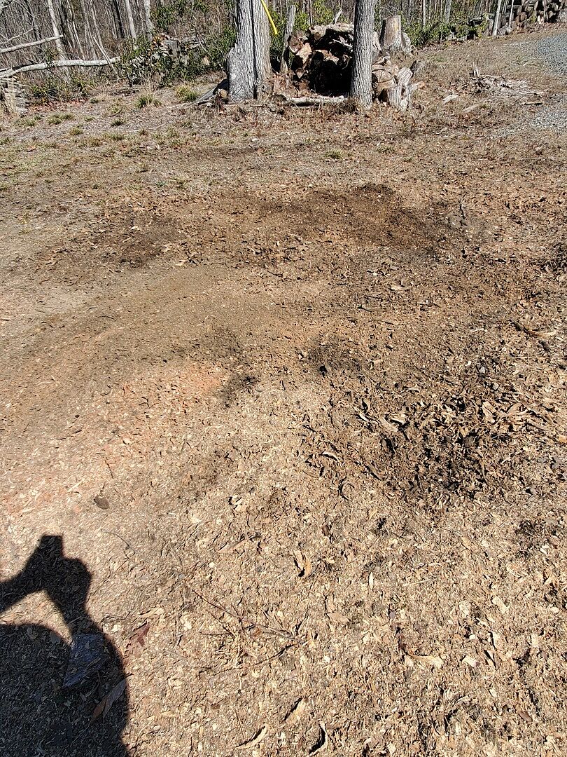 Very Pleased with my WG42 Stump Grinder photo 1