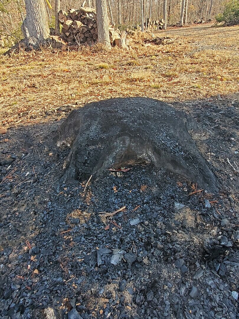 Very Pleased with my WG42 Stump Grinder photo 2