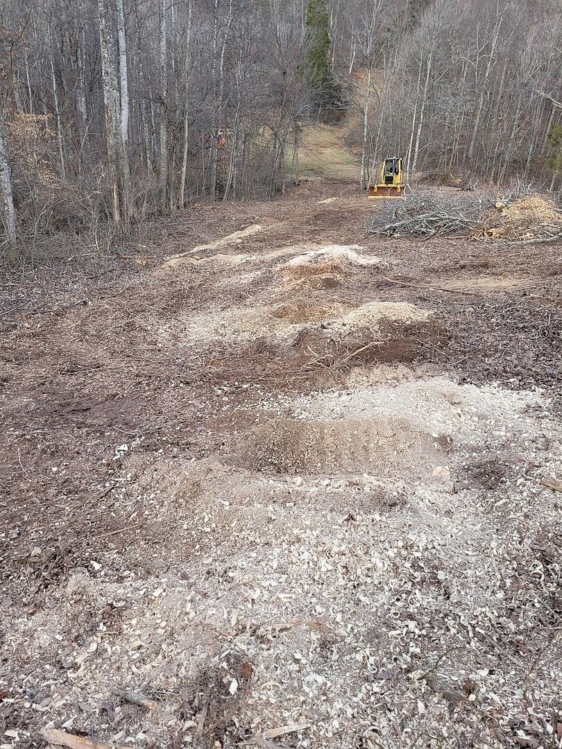 WG24 Stump Grinder photo 2