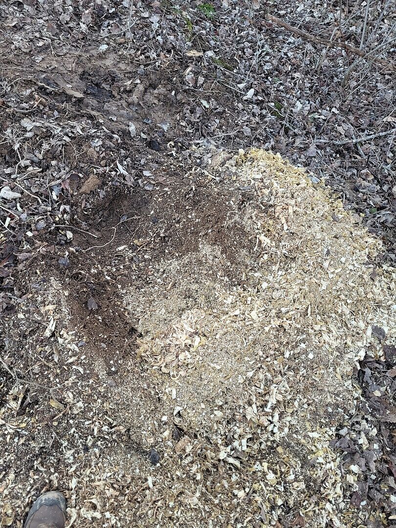 WG24 Stump Grinder photo 3