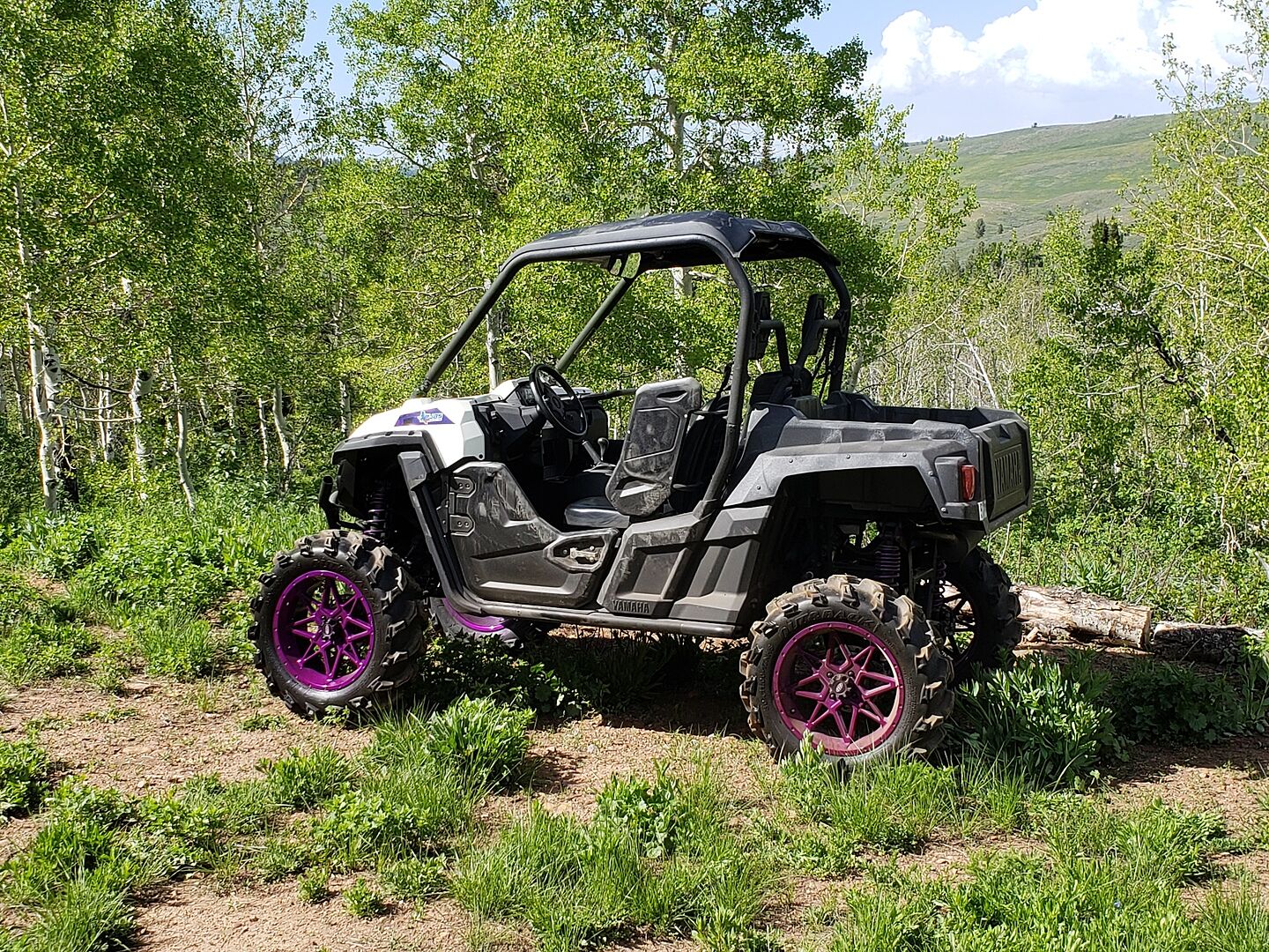 Yamaha Wolverine Power Steering Kit SuperATV