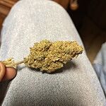 Customer Review Image