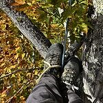 Image of Review by ZACH S. on  1 Oct 2024 number 1