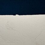 Image of Review by Larry R. on  4 Oct 2024 number 5