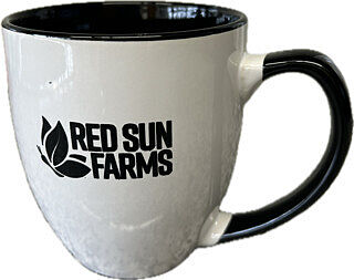 I would DEFINITELY buy these again!!