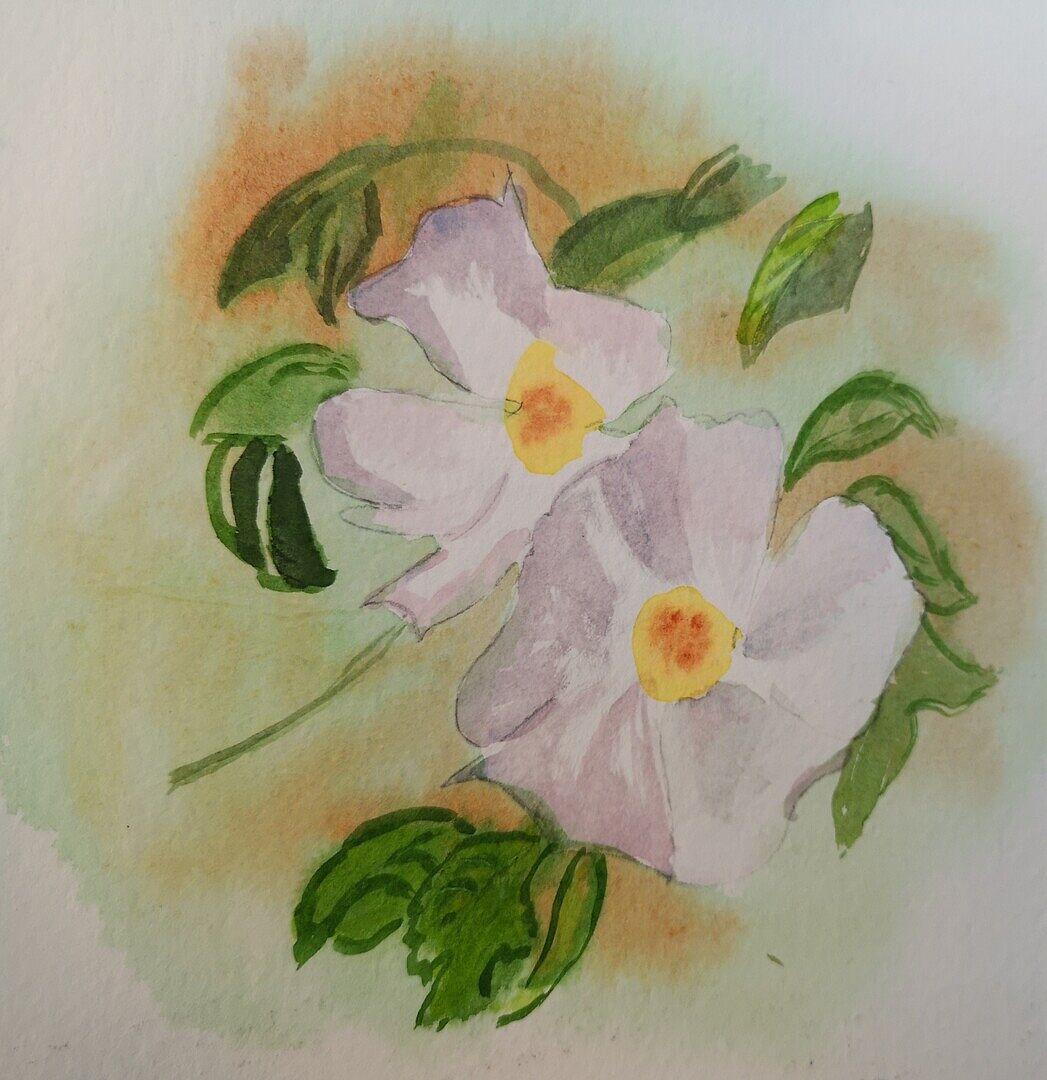 Very useful site for personalised cards.