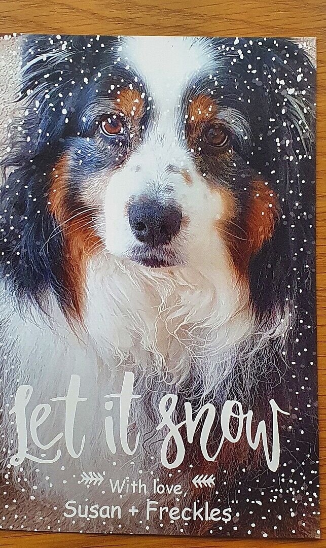 I buy my Christmas cards every year from Vistaprint