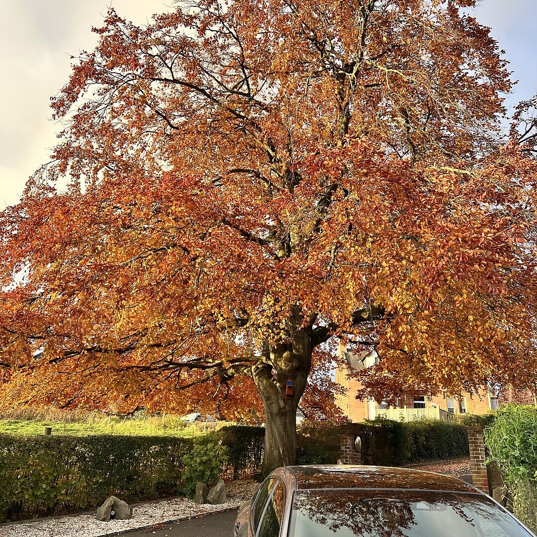 Vista print my go to printers.