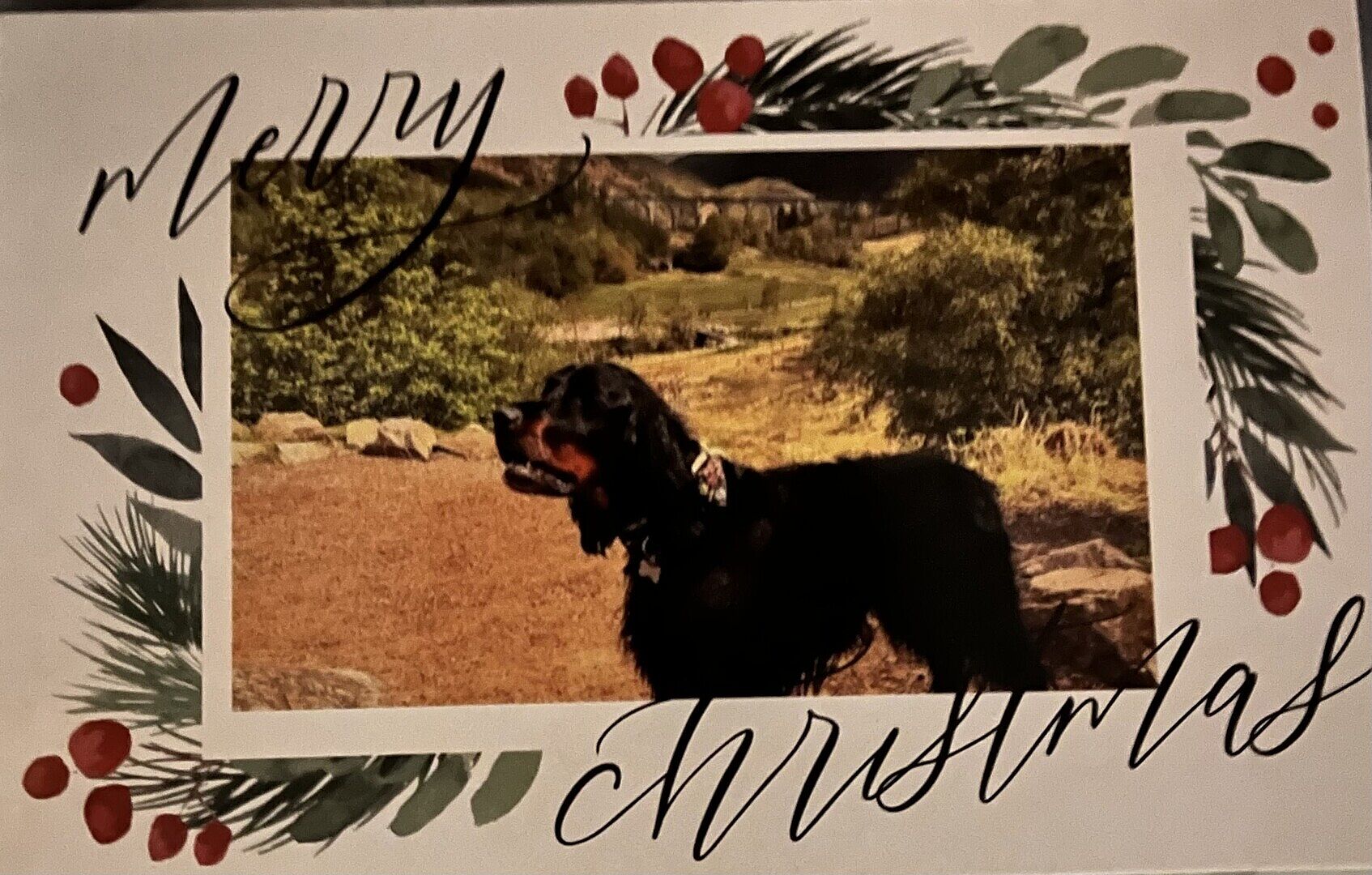 Always happy with my Christmas cards