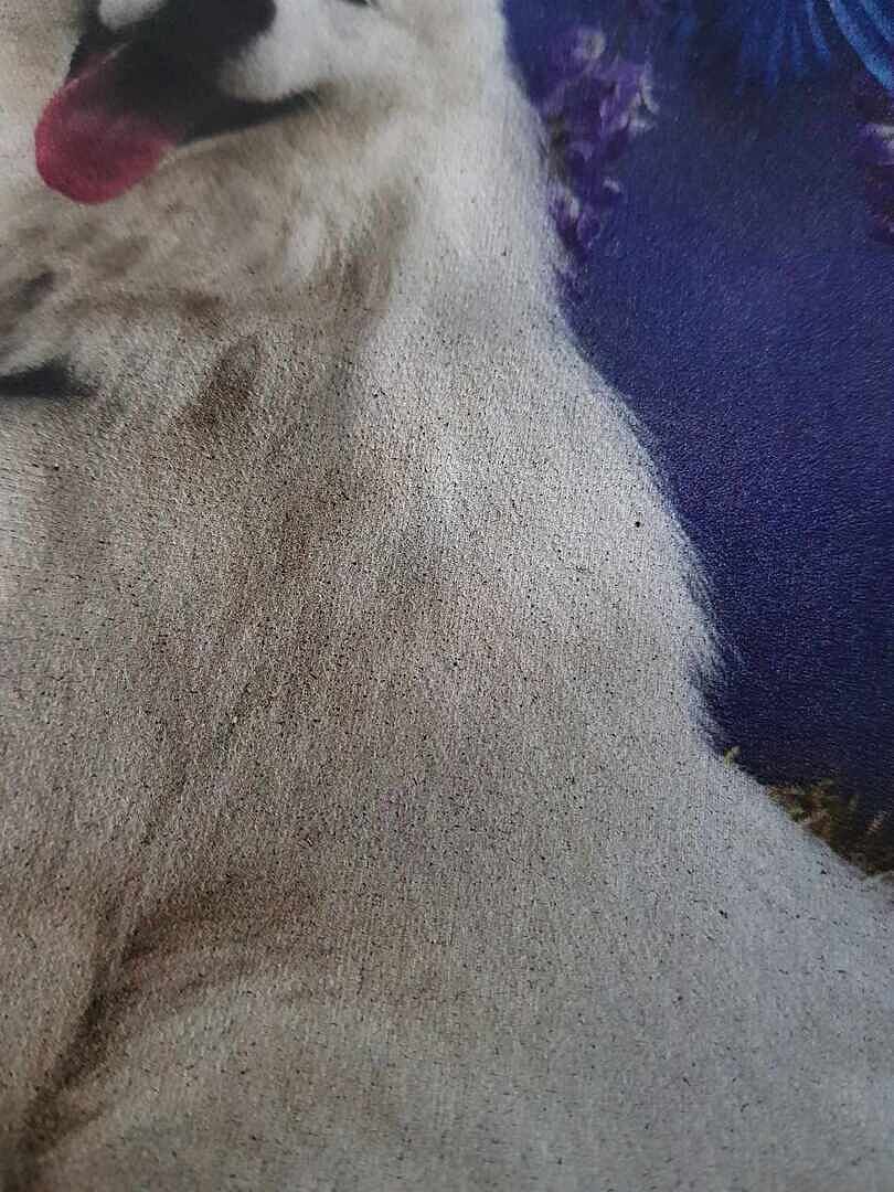 Picture not good on bag
