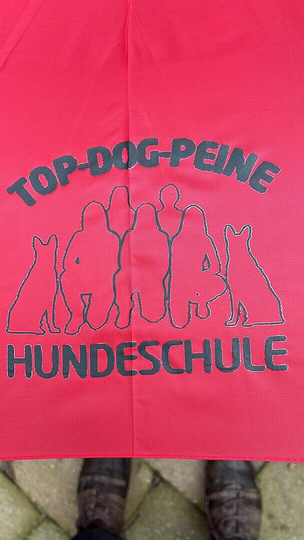 Regenschirm