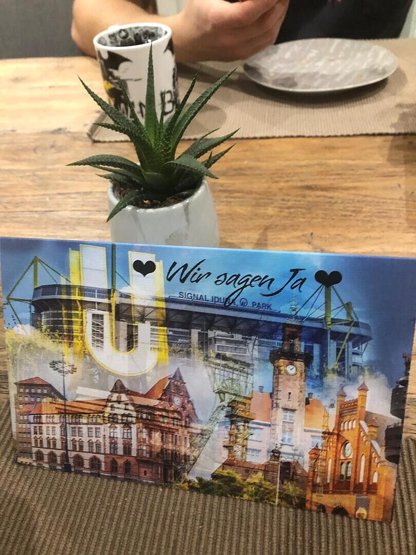 Ich würde jederzeit wieder bei Vostaprint bestellen