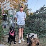 Image of Review by Chris on 24 Oct 2024 number 1