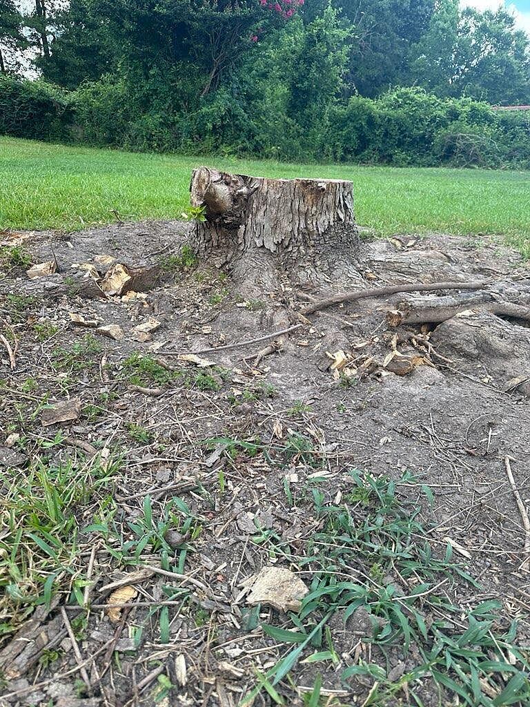 Rockin h Stump Grinding photo 2
