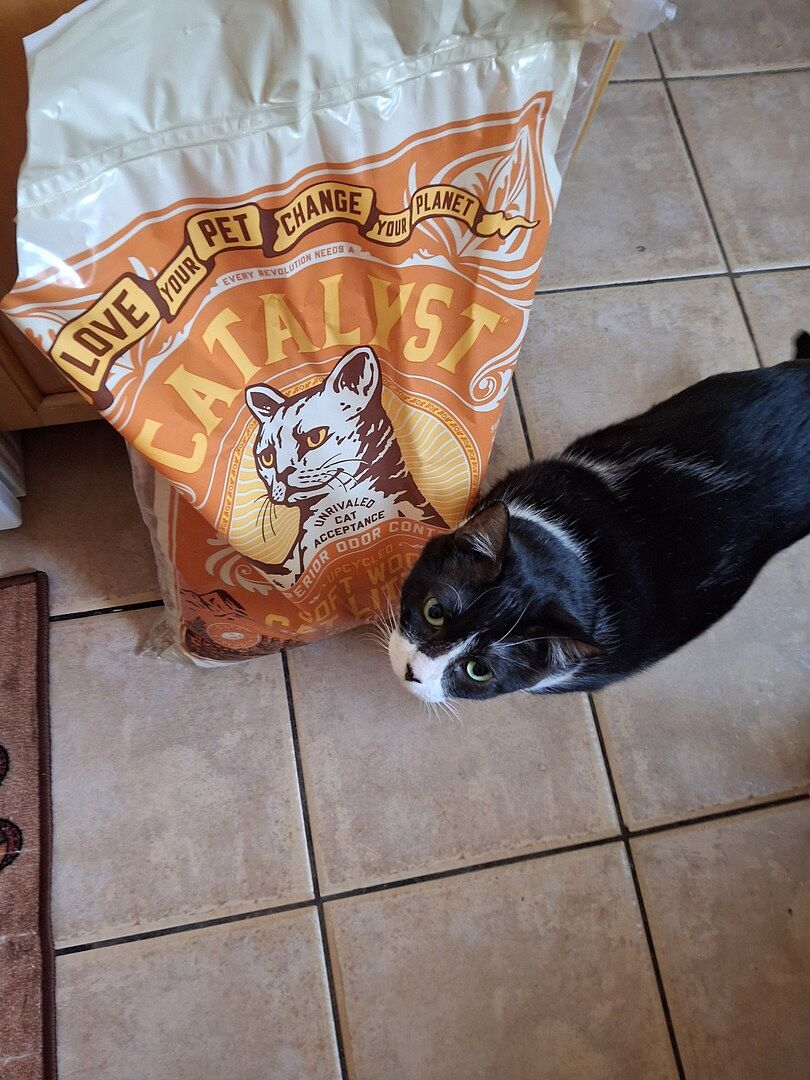 Catalyst Pet customer photo shared by Kristen R.