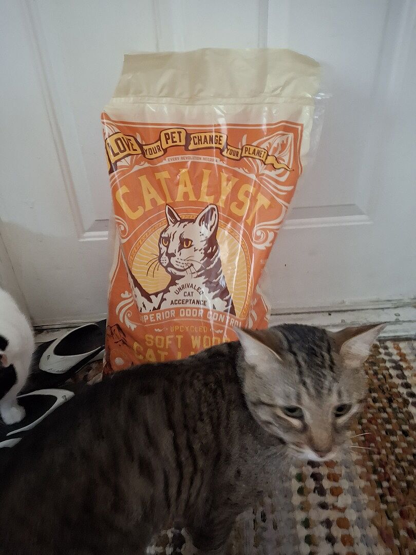 Catalyst Pet customer photo shared by Kristen R.