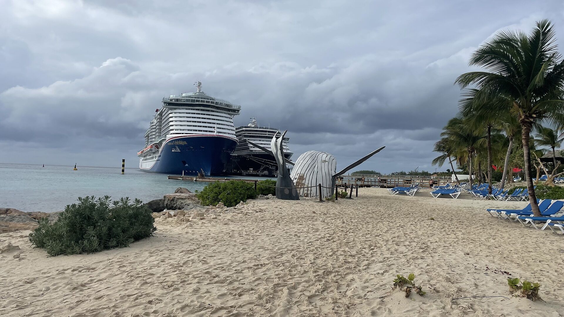 Zuiderdam