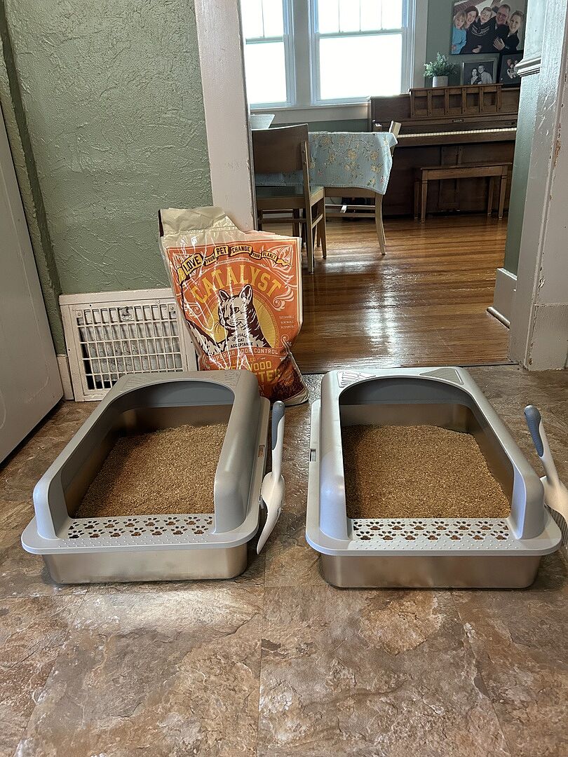 Catalyst Pet customer photo shared by Doug M.