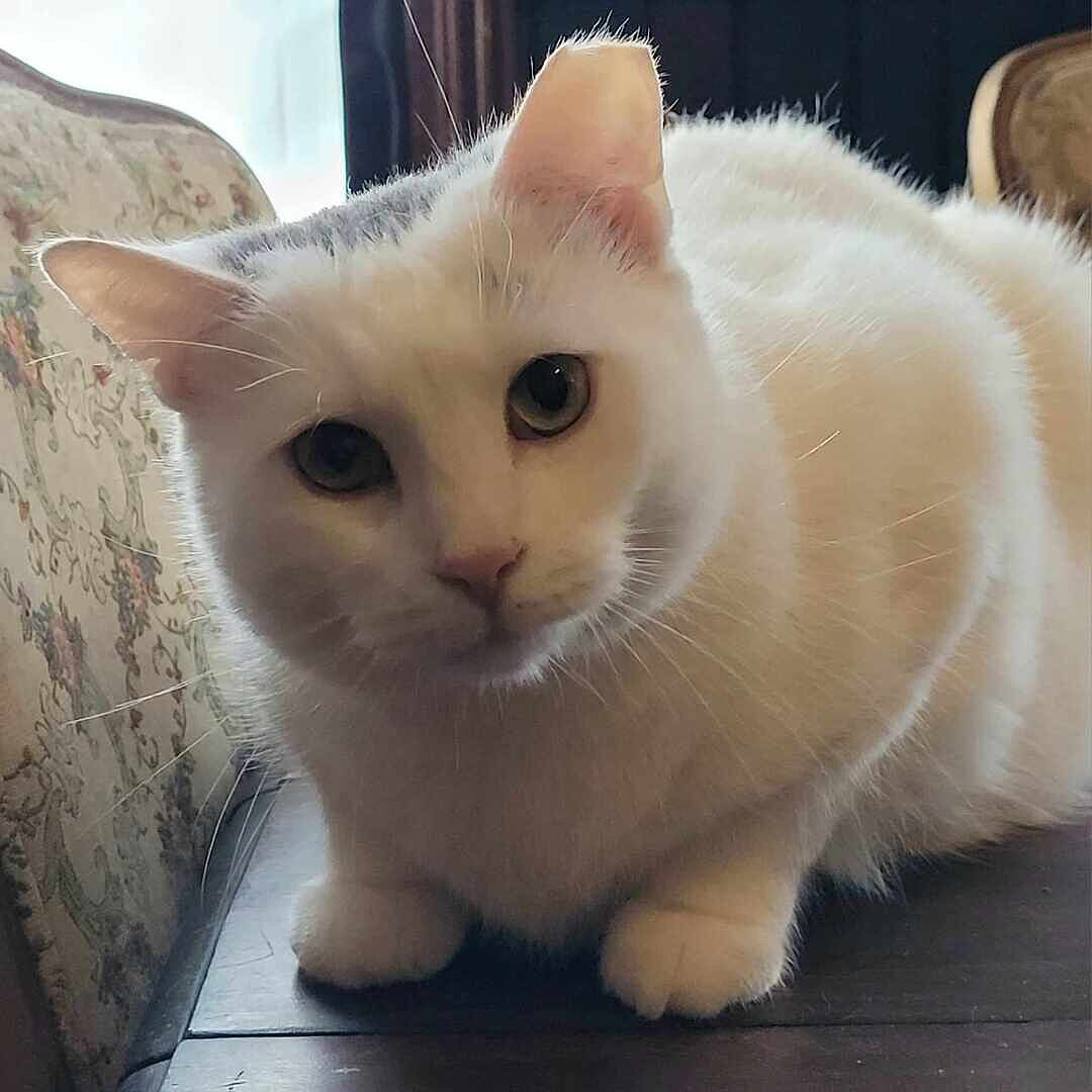 Catalyst Pet customer photo shared by Elaine W.