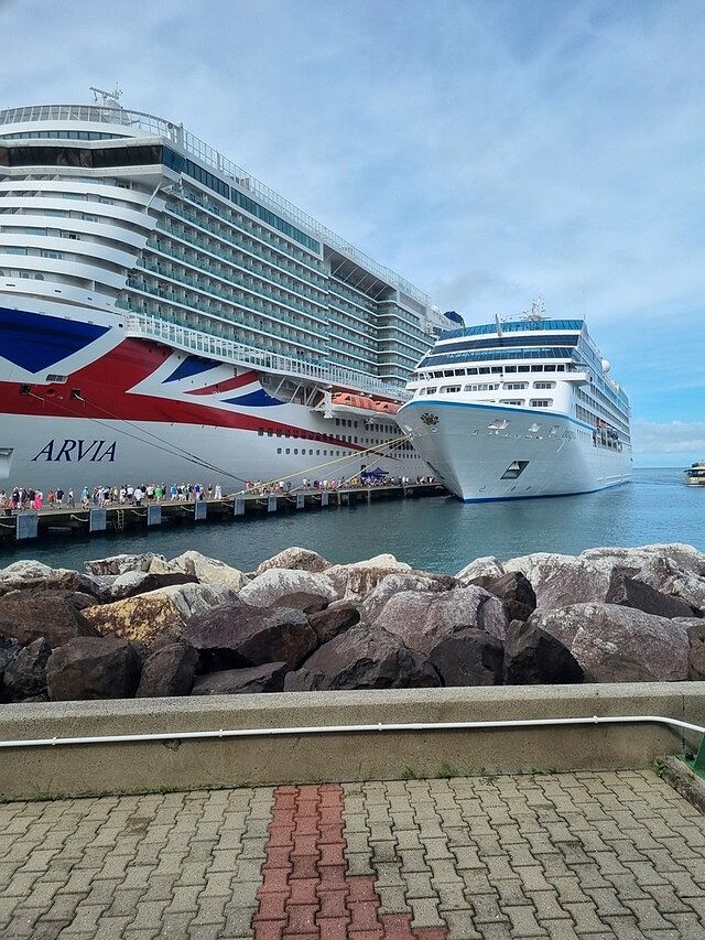 Arvia