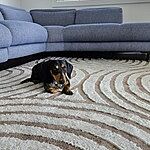 Image of Review by Joy M. on 29 Nov 2024 number 1
