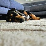 Image of Review by Joy M. on 29 Nov 2024 number 2