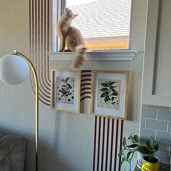 Geometric Arch Wall Decal Sticker I simply love how this