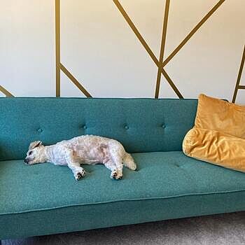 Matte Metallic Gold Strip Wall Decal Great item and quick shipping!