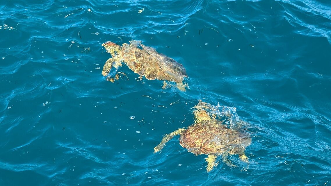 Rhapsody of the Seas