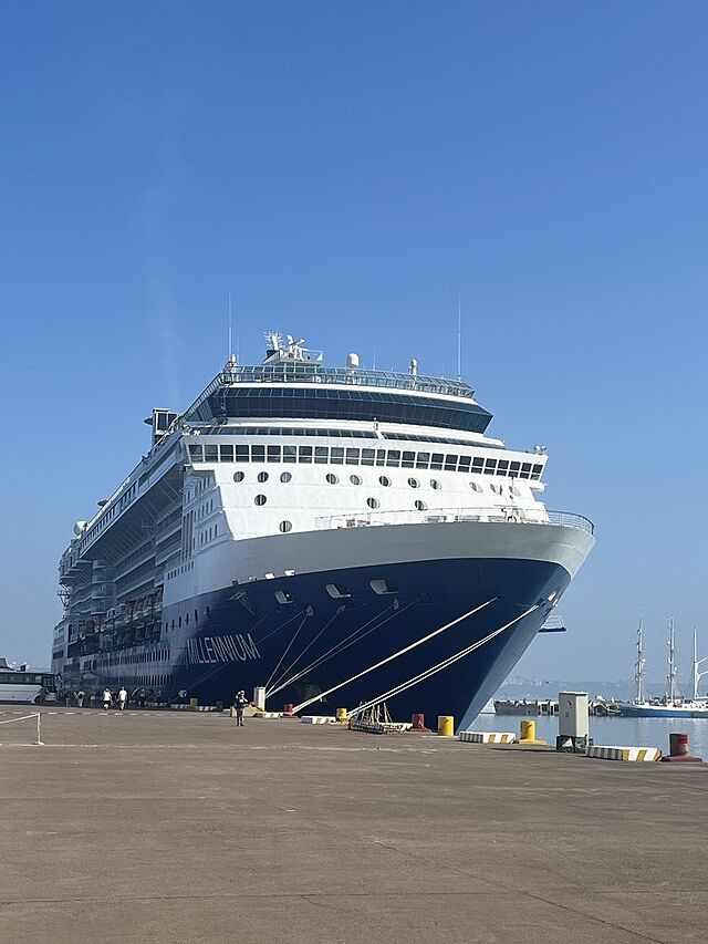 Celebrity Millennium