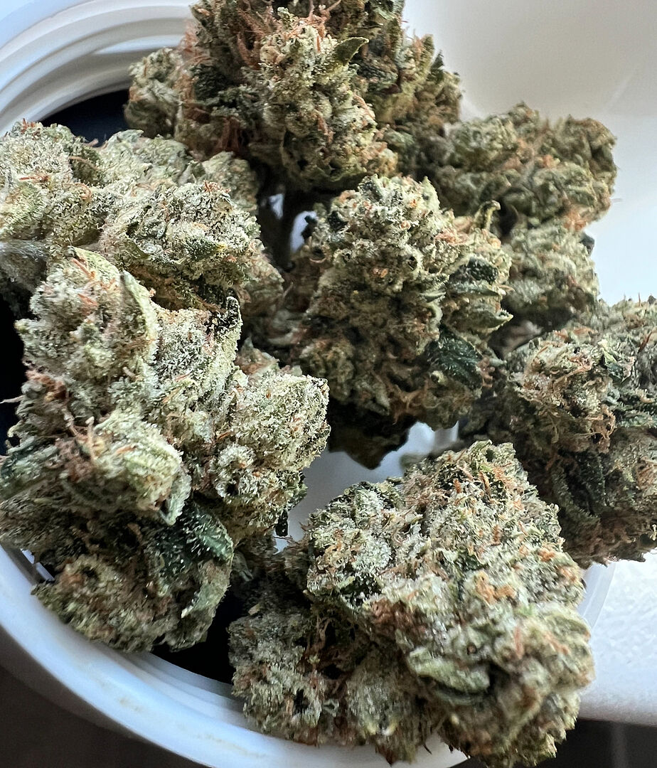DRT タイニークラッシュ Low TRIBE WEED DRT タイニークラッシュTRIBE WEED