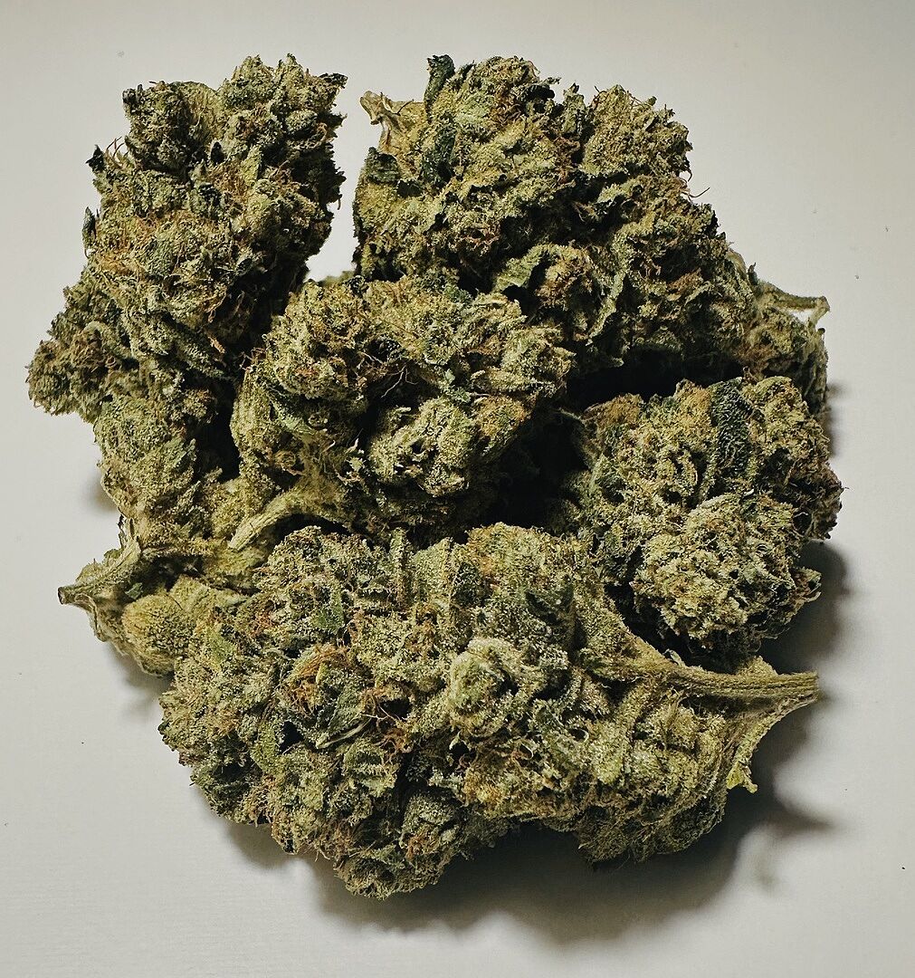 Josh D 14g Flower - Shaloha - The Flowery Shop