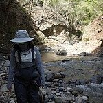 Image of Review by ばなな on 19 Dec 2024 number 1