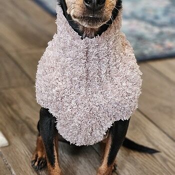 CozyChic® Ribbed Pet Sweater | Barefoot Dreams®