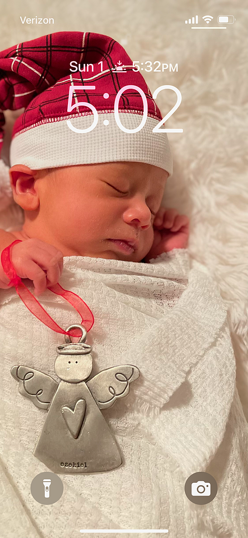 Family Tree Ornament customer photo