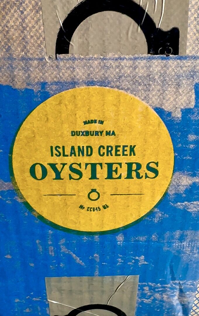 Joly Oysters Petites | Cape Cod Joly Oysters from Dennis, MA