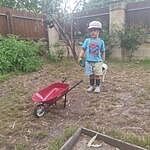Image of Review by Sue L. on  7 Jan 2025 number 2