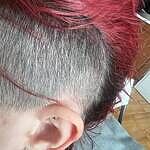 Image of Review by Shelby R. on  9 Jan 2025 number 1