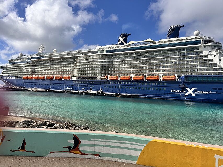 Celebrity Reflection