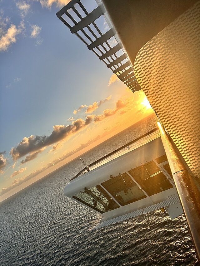 Celebrity Reflection