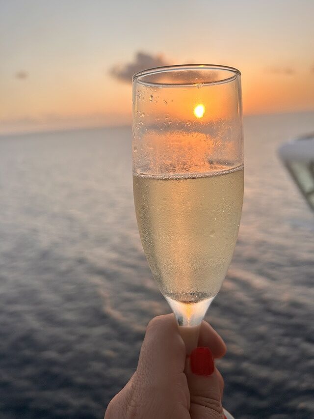 Celebrity Reflection