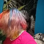 Image of Review by Angela Q. on 22 Jan 2025 number 1