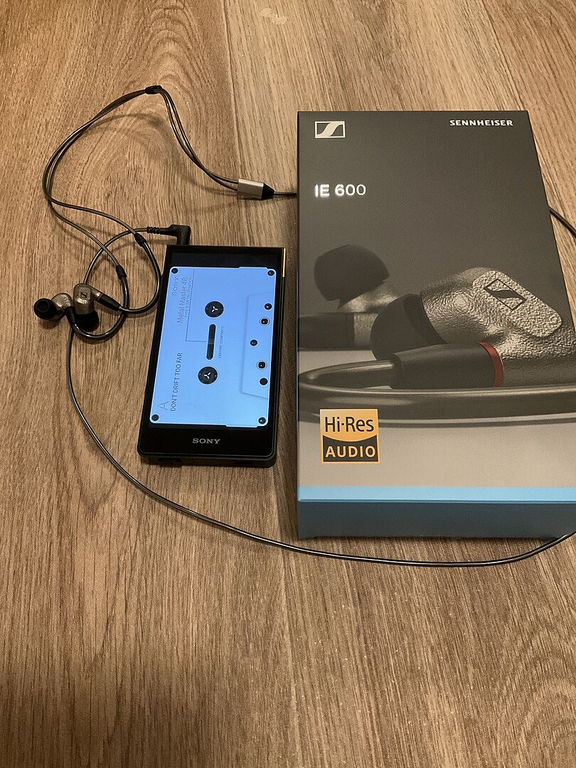 Sennheiser IE600 Audiophile In-Ear Headphones | HeadAmp