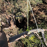 Image of Review by JANICELL S. on 25 Jan 2025 number 1